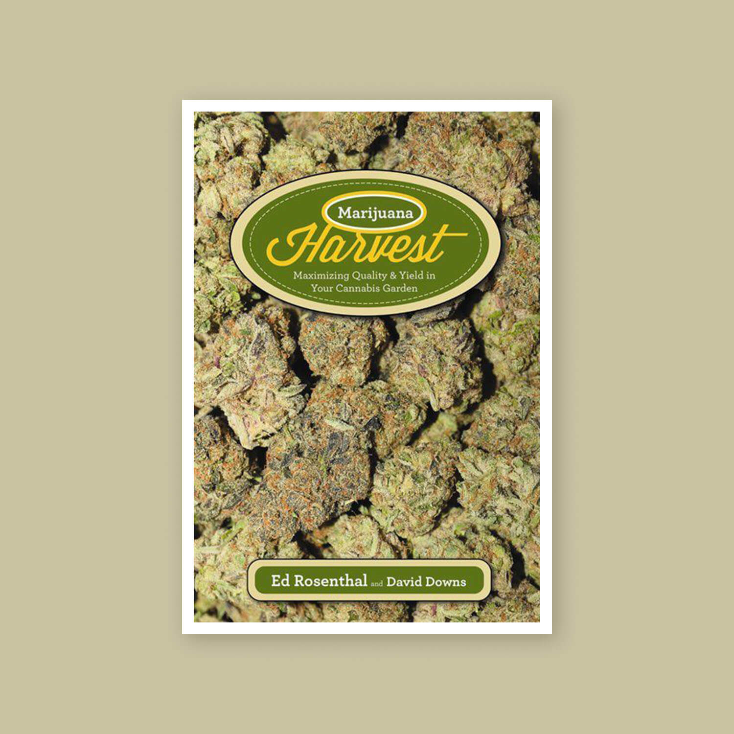 Marijuana harvest - Goldleaf bookshelf