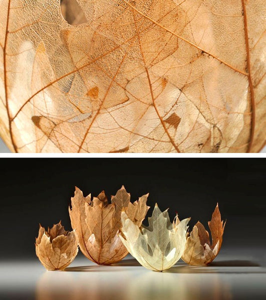These DIY Projects with Autumn Leaves Will Make You Love this Season - See more at www.ilikethatlamp.com