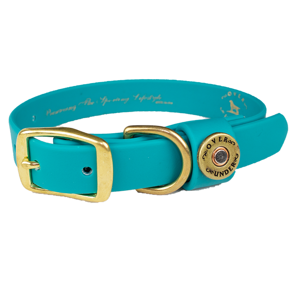 teal dog collar