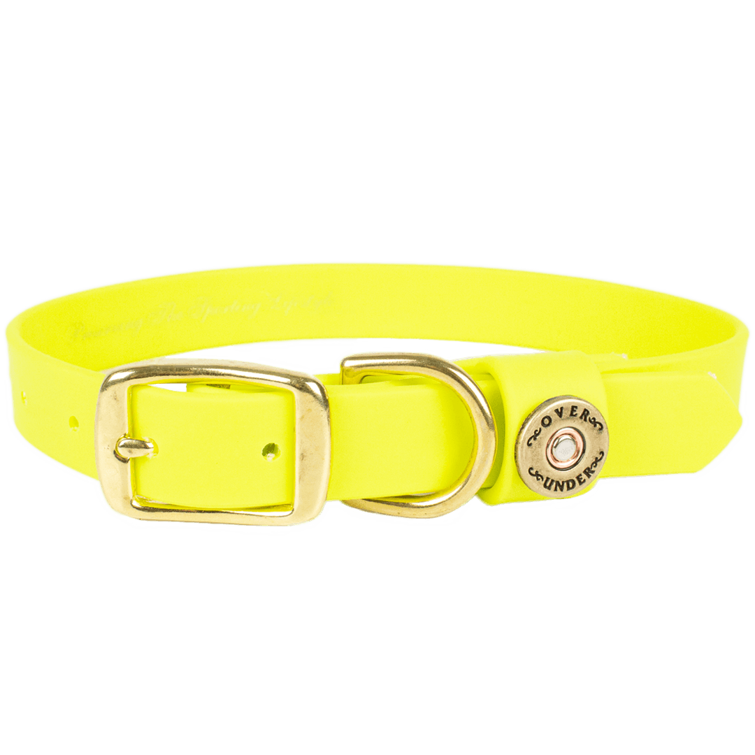 are buckle dog collars safe