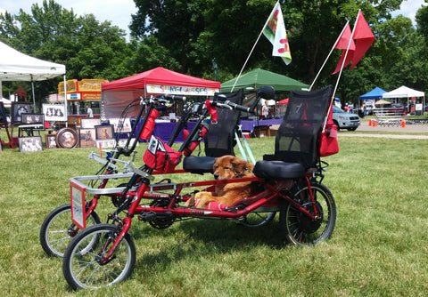 Side-By-Side electric trike with dogs