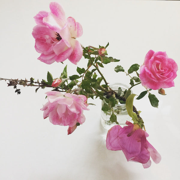 cut flowers roses plants longevity prana vastu blog vaastu happiness