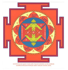 Protect & Harmonize: Vastu Tips. Conscious Activism.