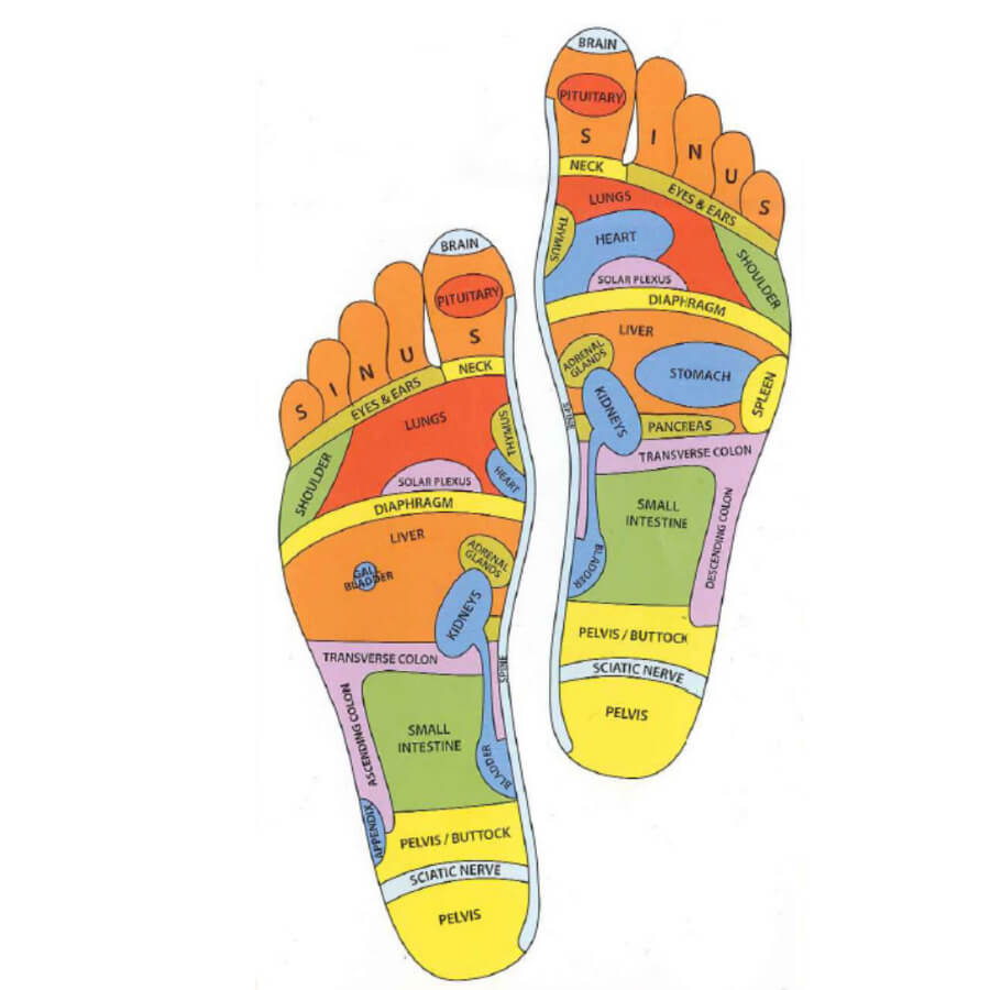 Foot Reflexology Chart