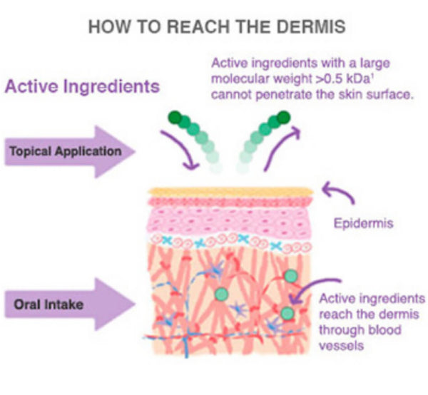 How collagen and antioxidants get delivered to our skin