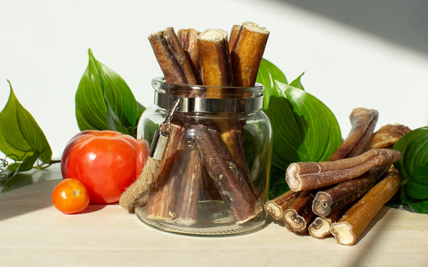 How to Choose the Right Bully Stick for Your Dog