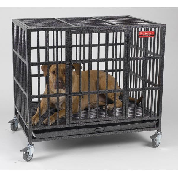 alcatraz dog crate