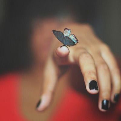 butterfly on finger