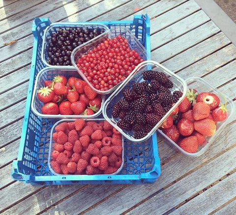 FRESH BERRIES