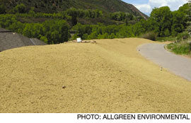 hydroseeding before