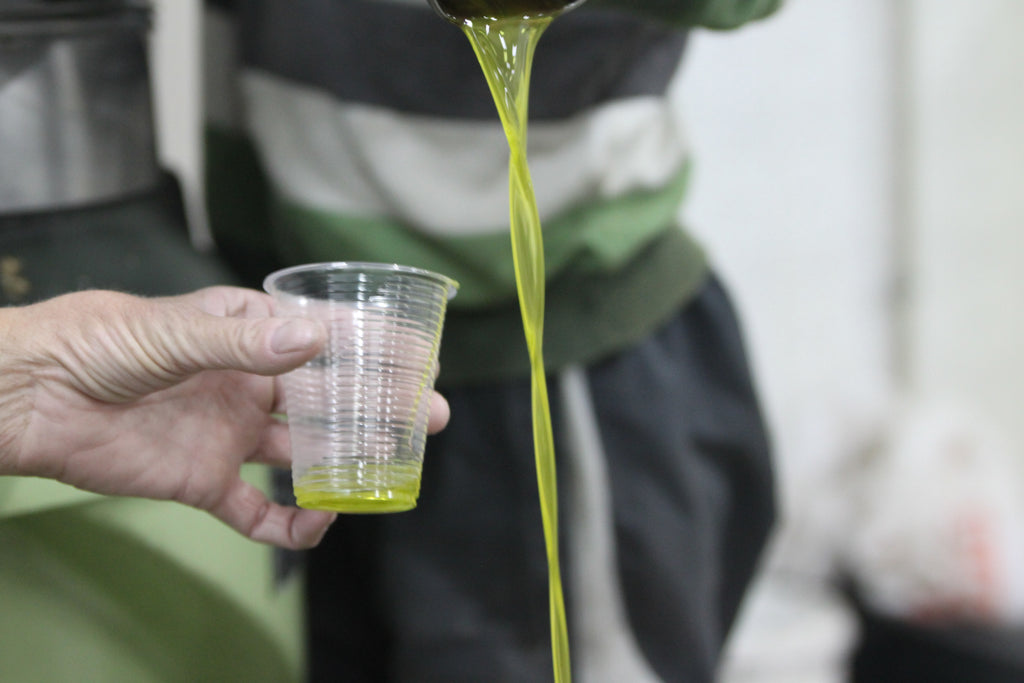 Frisch abgefülltes Olivenöl