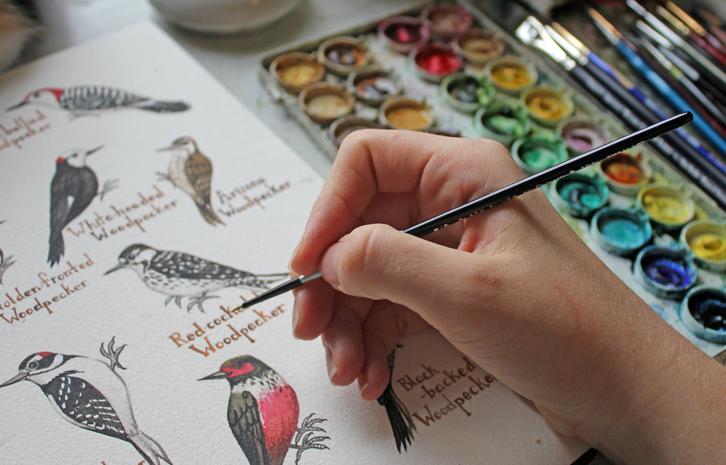 Watercolor woodpeckers painting in progress.