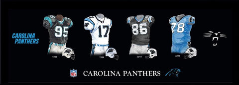 Carolina Panthers Uniform Print