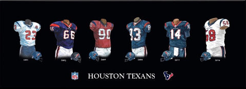 Houston Texans Uniform Print