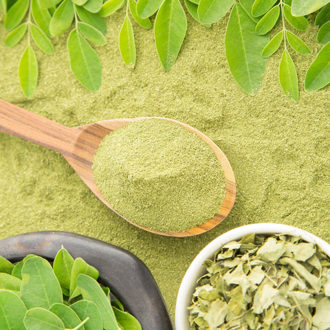 Moringa y sus propiedades