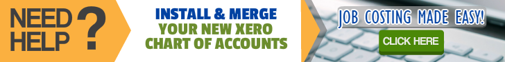 Professional Installation Xero Chart Of Accounts