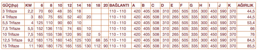 saci-magnus-detay