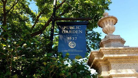 Boston Public Gardens located in Downtown Boston across from the Commons