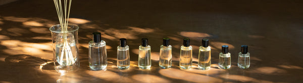 12 perfumes. 12 stories. – SHIRO CO., LTD.