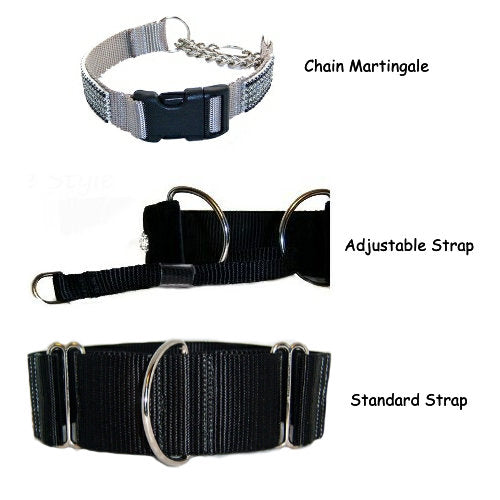 chain martingale collar with buckle