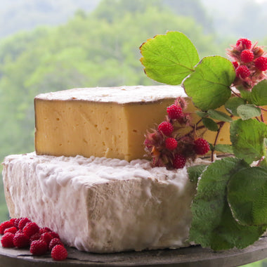 Appalachian cheese