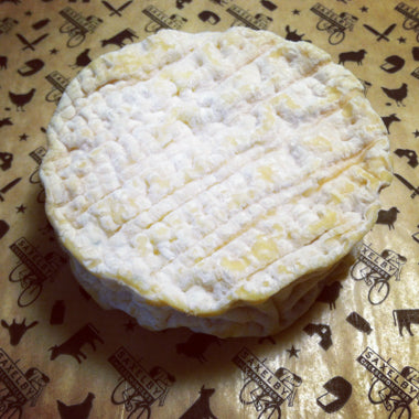 St Johnsville cheese