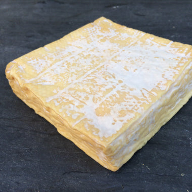 Trifecta cheese