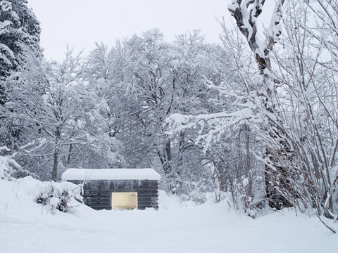 modern cabin