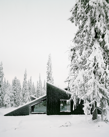 Norwegian cabin design 