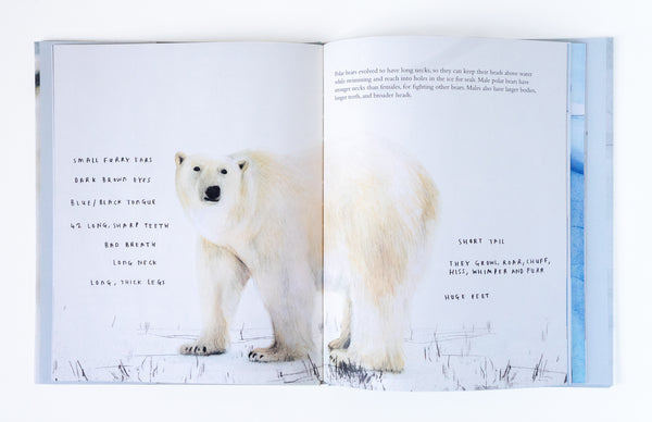 The polar Beat Jenni Desmond inside page