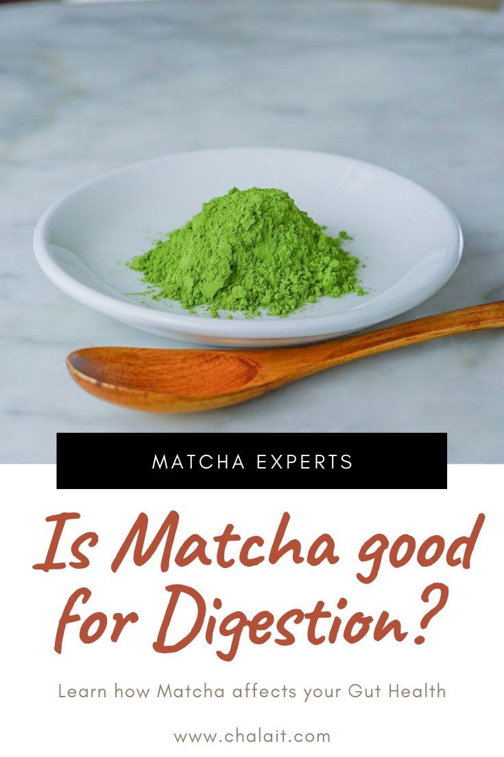 Is Matcha Good For Digestion? Matcha and Gut Health