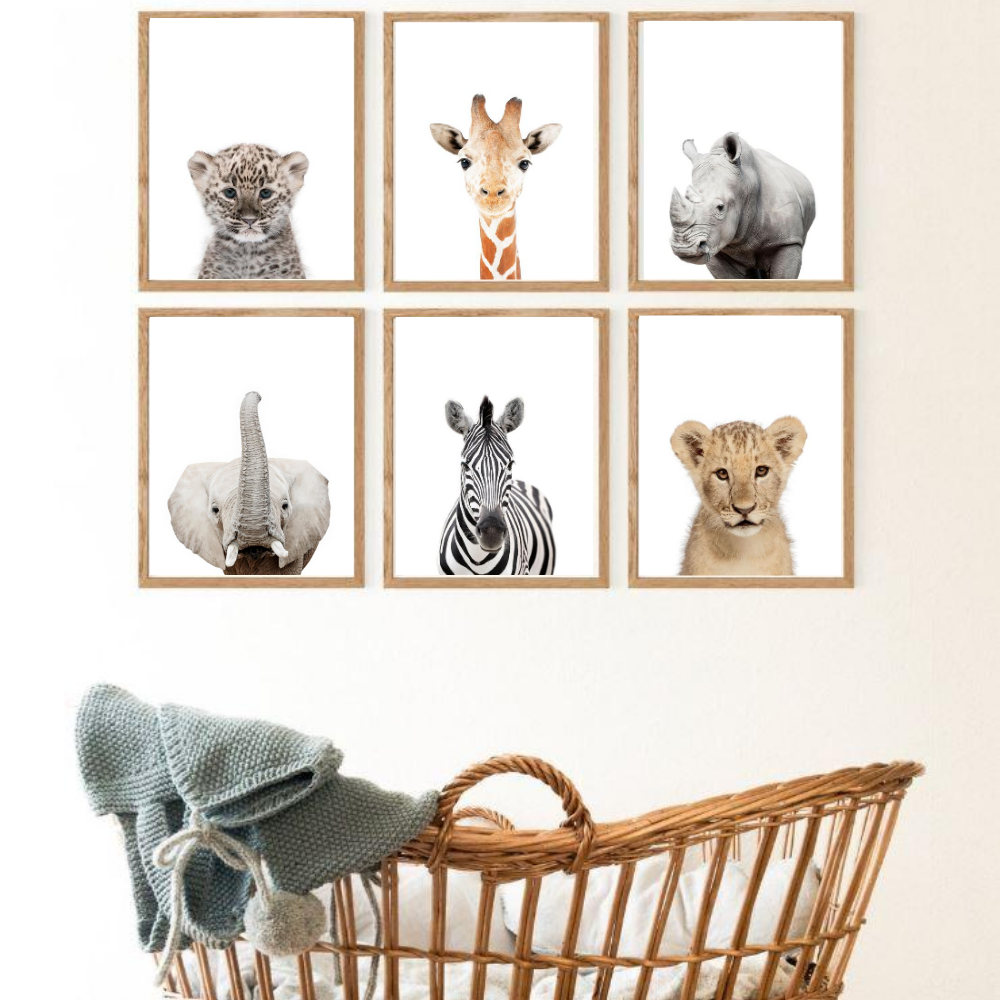 Sweet Pea Set Of 6 Animal Safari Wall Art Nursery Kids Playroom Shop Online Sweet Pea Kids