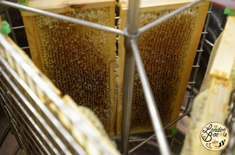 Honey extractor