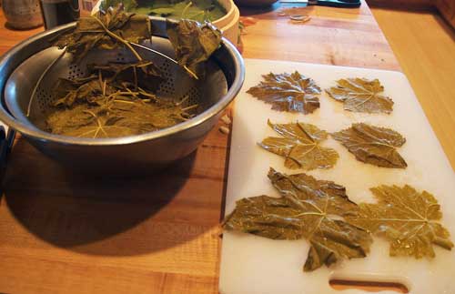 blanched grape leaves