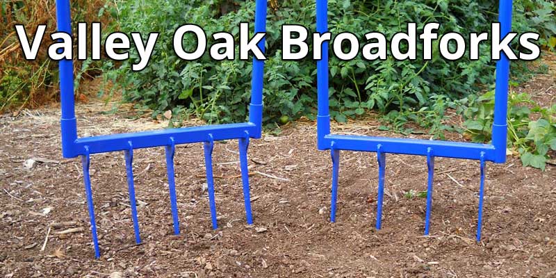 Valley Oak Broadforks collection