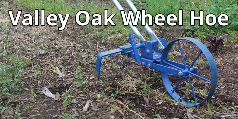 Valley Oak Wheel Hoe