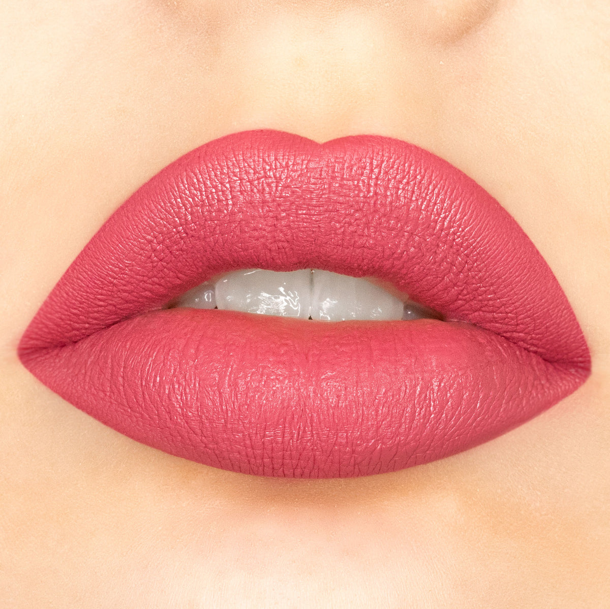 Dusty Rose Matte Liquid Lipstick Amorus Usa 