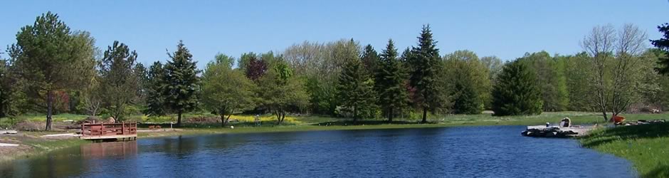 Vast sport pond with beautiful woods.