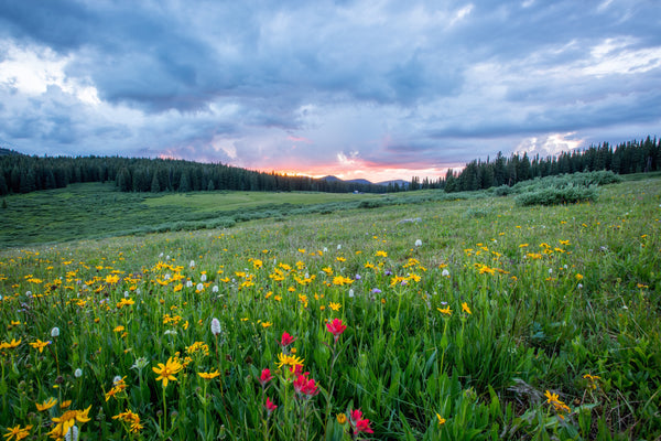 Gift ideas for nature lovers