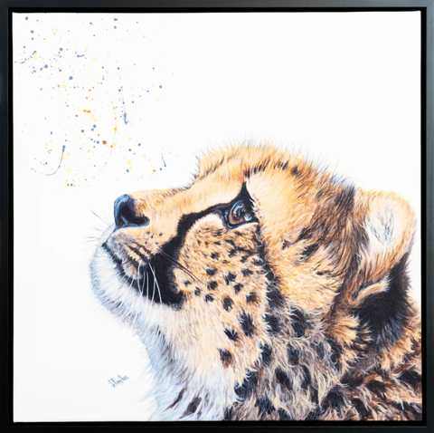 Cheetah Cub framed print by Sue Payton