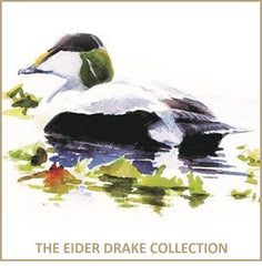 Eider Drake Collection