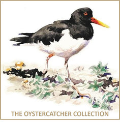 Oystercatcher Collection