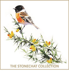 Stonechat Collection