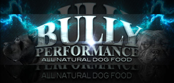 bully performance dog food reviews