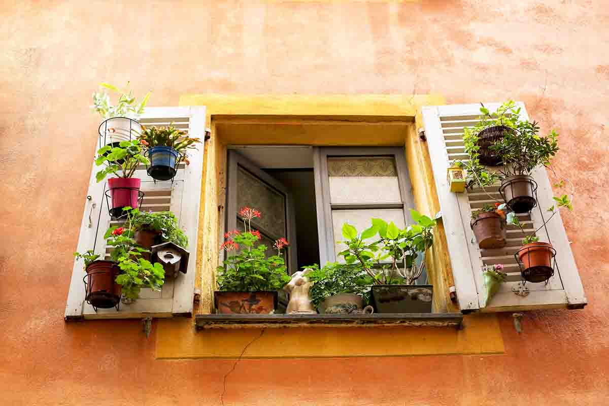 Orange building with open window surrounded by plants