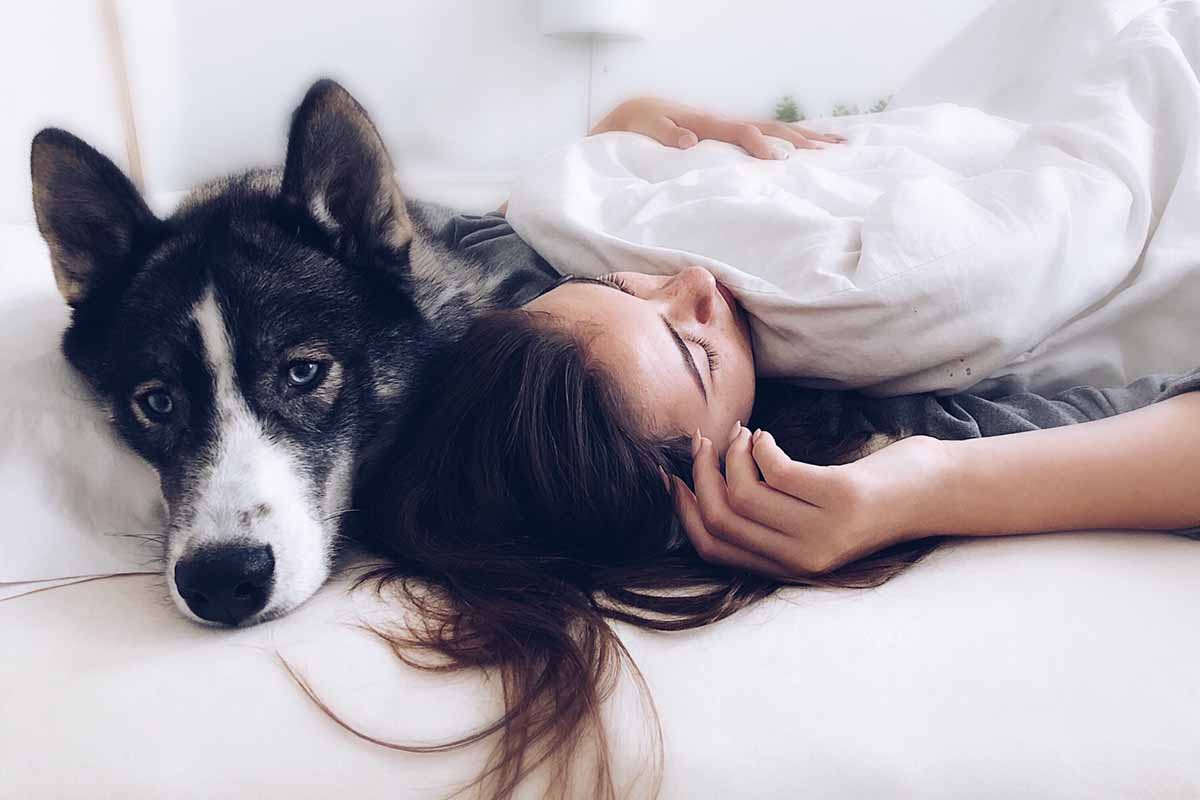 Young girl in bed with dog next to her