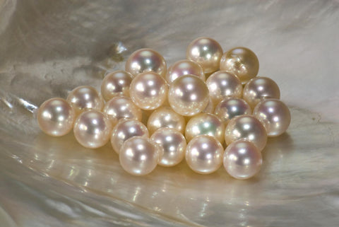 Ekoya Pearls, possibly the most famous of all of the cultured peals