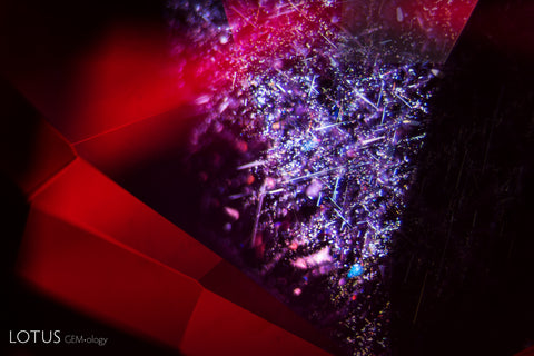 Rutile “silk” in needles, triangular platelets, and small particles like this is a typical scene found in Mozambique ruby.  Natural Ruby   •   Mozambique   •   Enhancements: None Detected (None)   •   Lighting Conditions: Dark Field + Diffuse Fiber Optic Photographer: E. Billie Hughes   •   Image Number: A-003-3791-1 •  Field of View = 4 mm