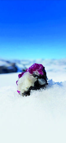 The surreal vision of a Greenland ruby in the Mother Rock in its natural habitat: Greenland's snow fields 
