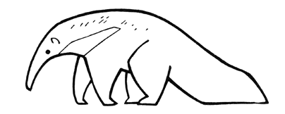 giant anteater doodle